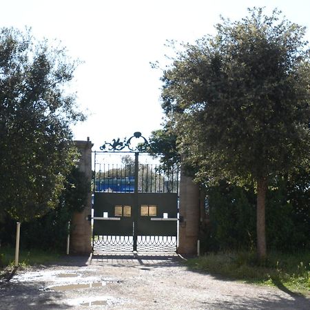 Villa Anselmi - Arteindiretta Livorno Exteriér fotografie
